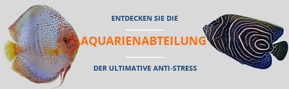  Die Welt der Aquarien
