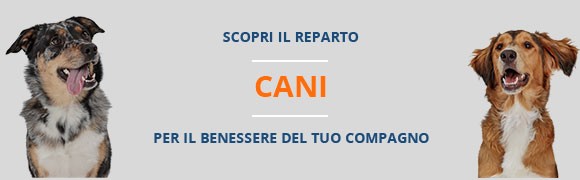Il mondo dei cani