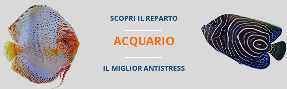 Il mondo degli acquari