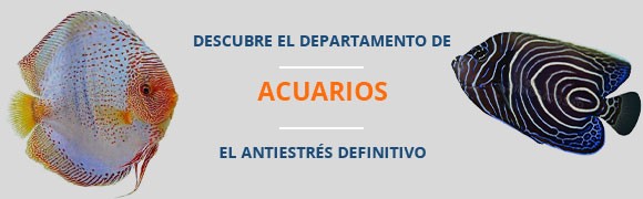 El mundo de los acuarios