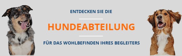 Die Welt der Hunde
